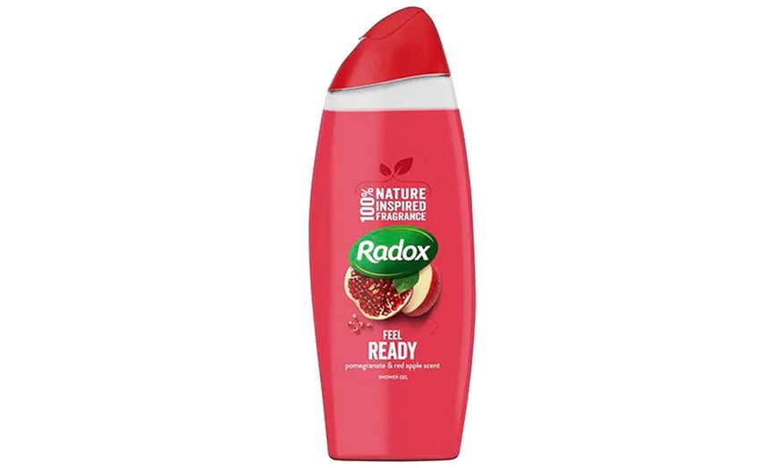 Image 2: Six Bottles of Radox Shower Gel