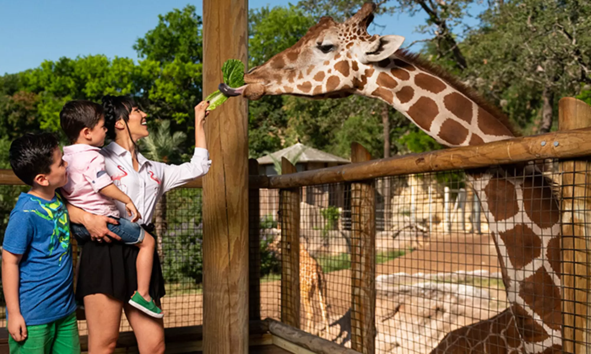 One Pass, Endless Fun in San Antonio & Austin