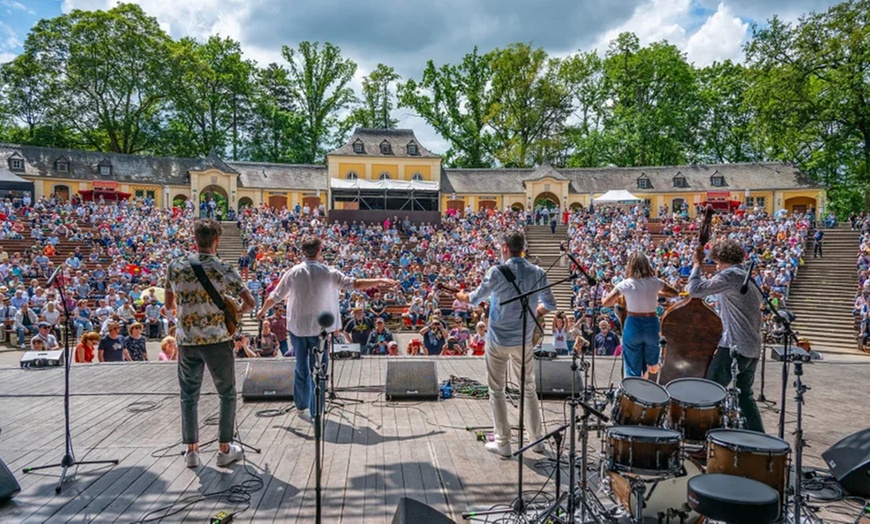 Image 7: Ticket für Internationales Dixieland Festival 2026