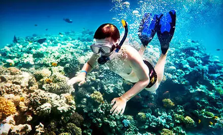 One-Hour Guided Snorkeling Tour of Lover’s Cove for One or Two from Snorkeling Catalina (Up to 57% Off) - Primary Image