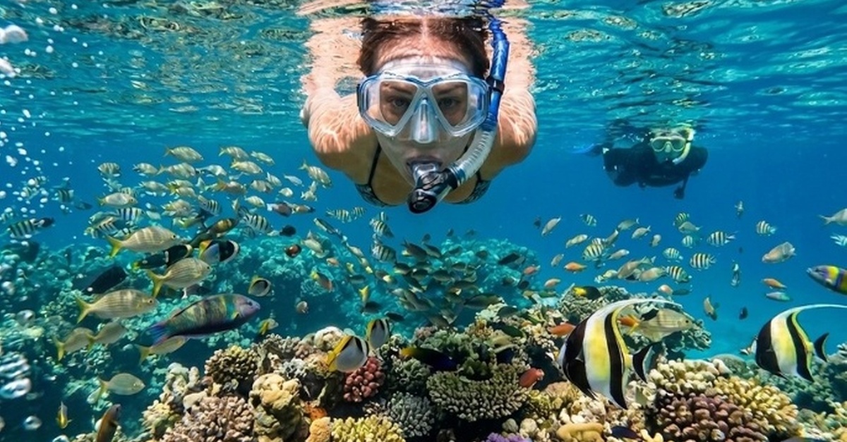 Excursión de snorkel con equipo incluido en Tenerife