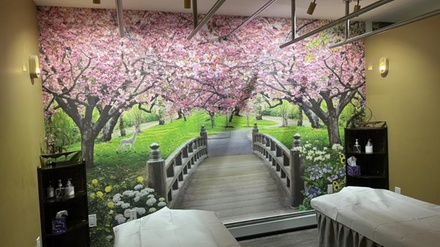 60-Minute Couples Deluxe Deep-Tissue Massage  with Essential Oil, Hot Stones and Cupping Therapy - Spring Breeze Spa