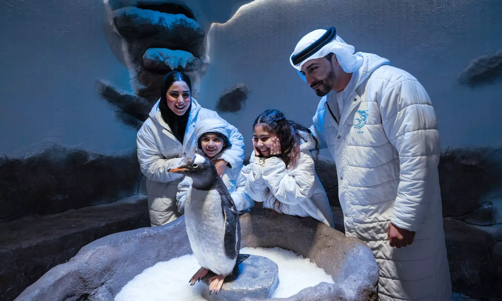 Entry for 1, 2 or 4 Adults to World’s Largest Suspended Aquarium