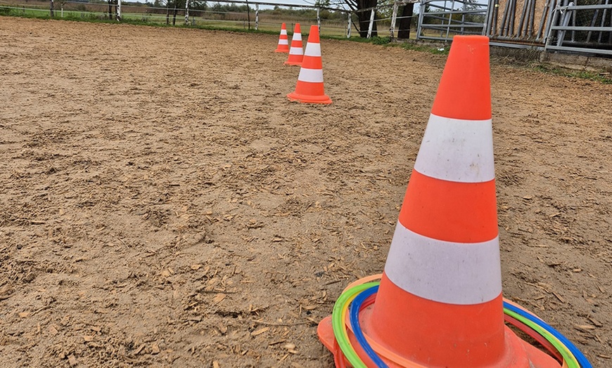 Image 7: Bis zu 10 Einheiten: Achtsame Pferdezeit für Groß und Klein