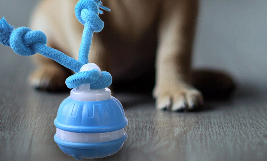 Image 9: Interactive Rolling Ball Toy
