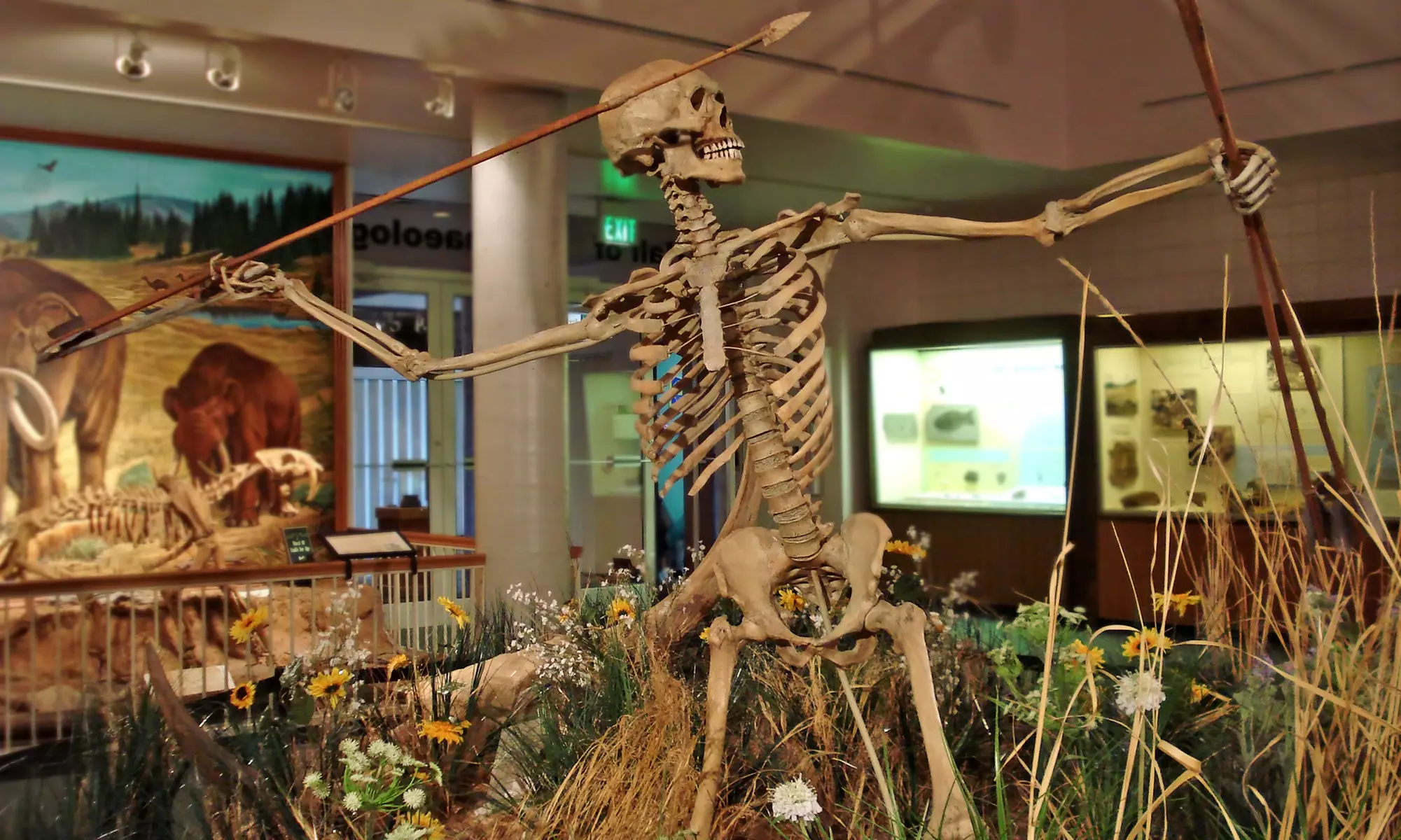 Admission for Two, Four, or Six at Utah State University Eastern Prehistoric Museum (50% Off) - Primary Image