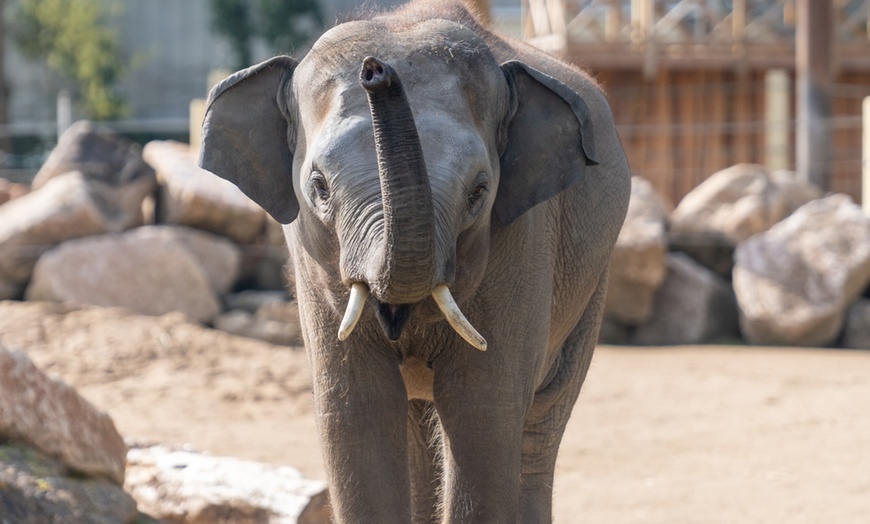 Image 23: Vivre les missions d’un soigneur au Touroparc Zoo