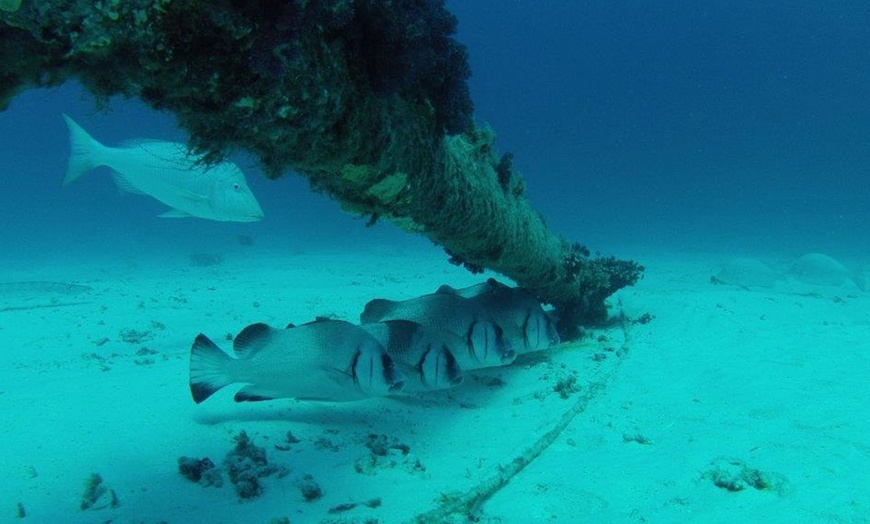 Image 6: Four-Hour Catamaran Cruise with Lunch for Up to 20 People