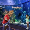 Image 7: Up to 20% Off Value Pass at Moody Gardens