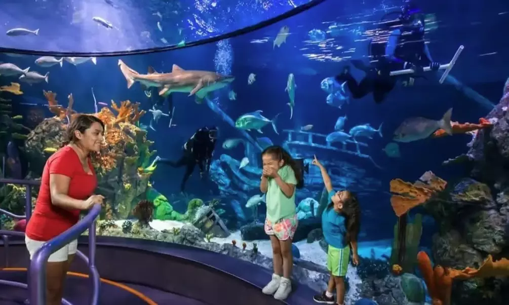Up to 20% Off Value Pass at Moody Gardens