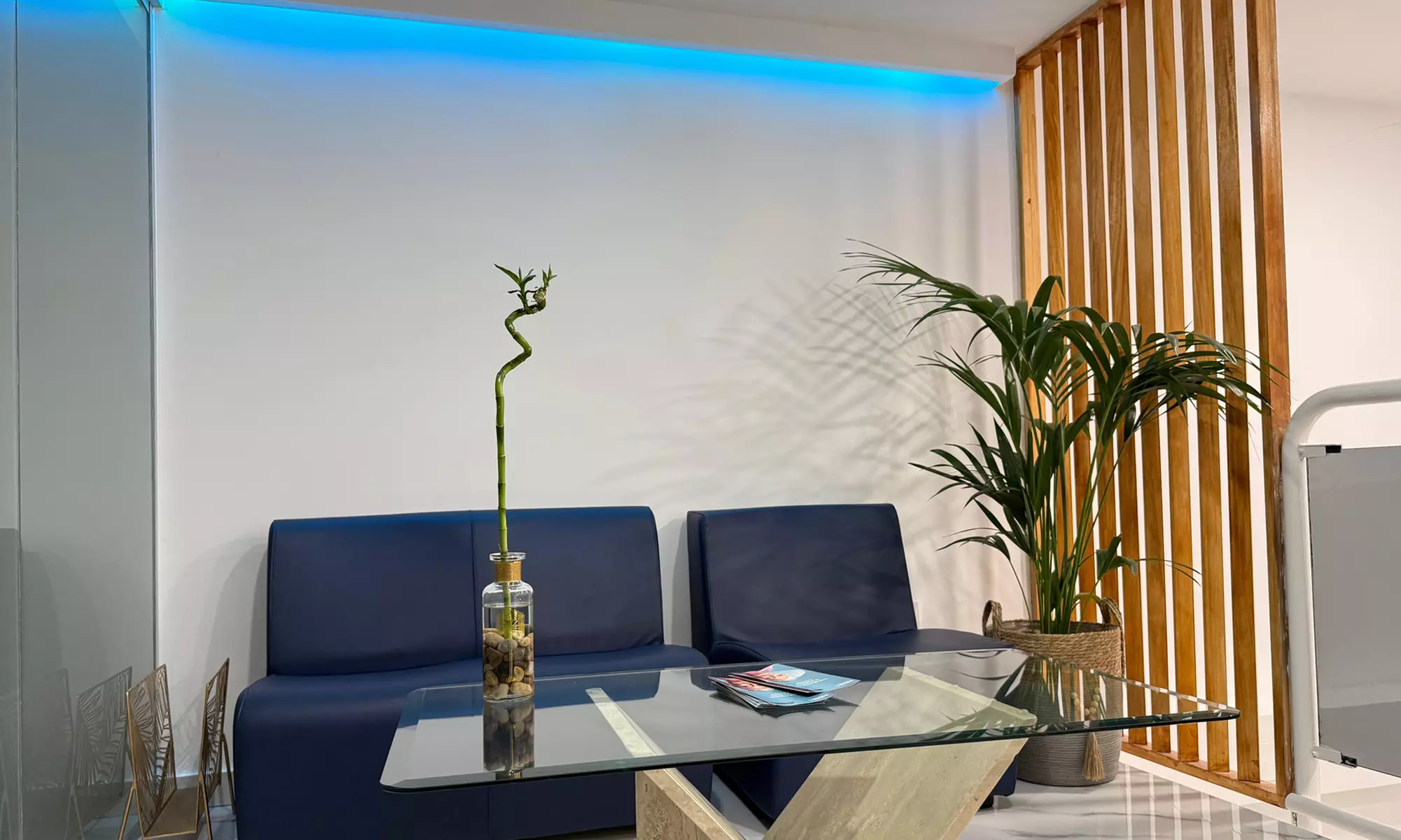 1, 2 o 4 sesiones de criolipólisis de 30 minutos en zona doble