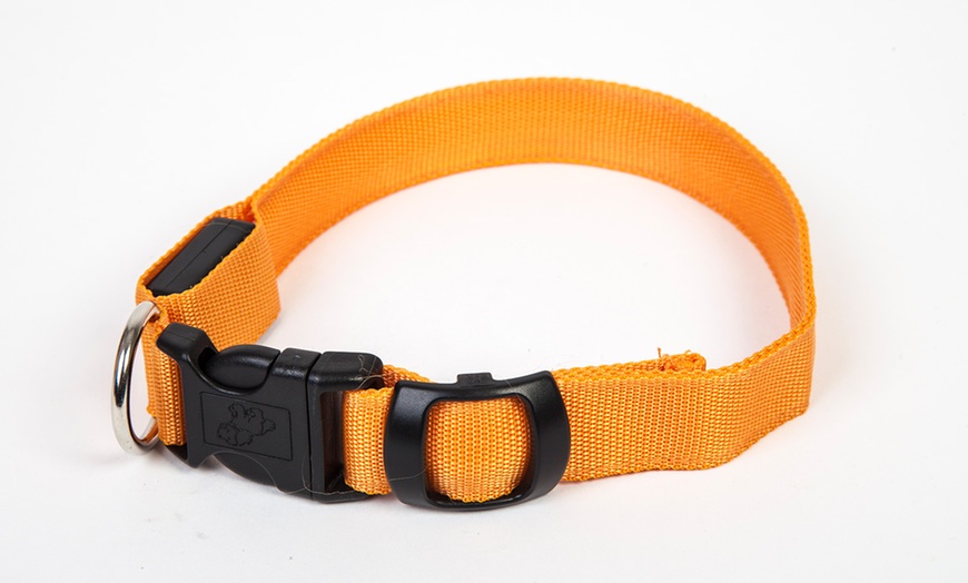 Image 12: LED Dog Collars