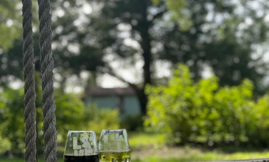 Image 22: Exclusive Wildlife Adventure: VIP Sunset Tour & Exotic Animal Feeding 