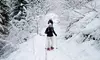 Moonlight or Day Guided Snowshoeing Tour for 2, 4, or 6 from Mt. Hood Adventure (Half ﻿Off)  