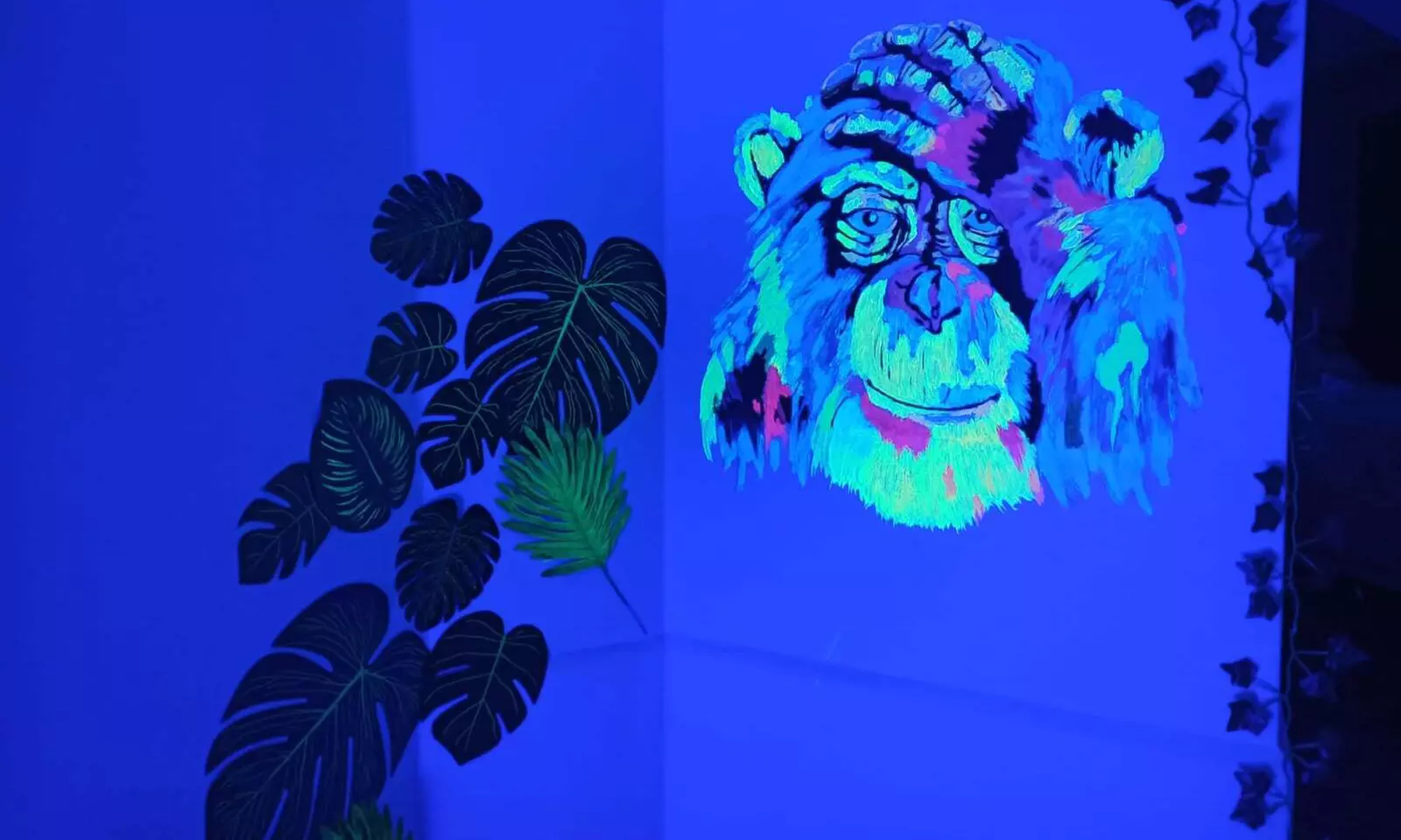 3 - 4 Std. Neogaming für bis zu 14 Kinder für den Kindergeburtstag