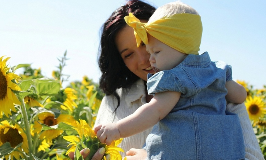 Image 3: 15 or 30-Minute Outdoor Photography Session with Digital Photo Package