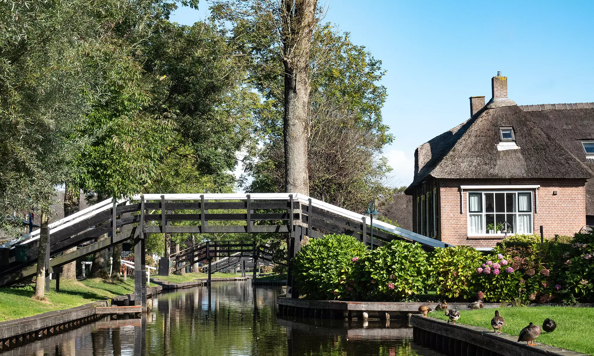 Giethoorn Tour: vanuit Amsterdam in een Hop On Hop Off Holland bus
