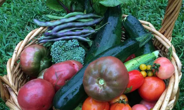 $50 for $90 Worth of Gardening Services — The Gardners - Primary Image