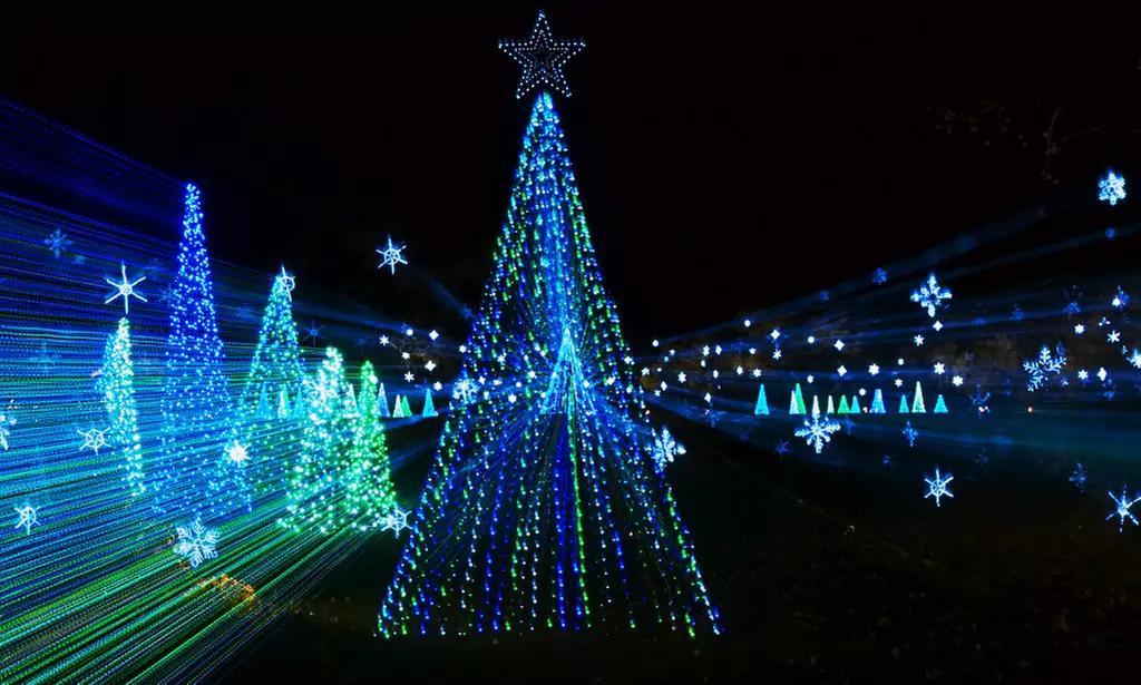$10 for Car Admission for One Vehicle at Illumination Light Show (Up to $20 Value) - Primary Image