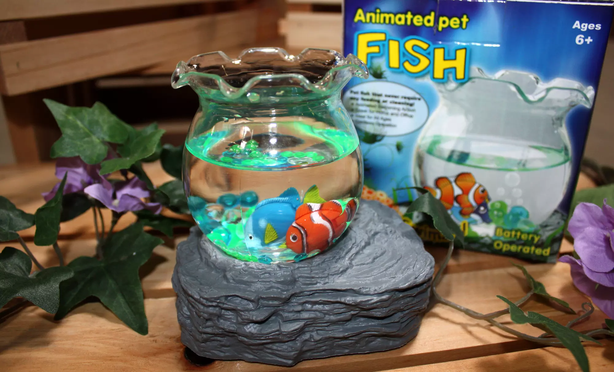 Animated Pet Fish or Turtle in Bowl - Primary Image