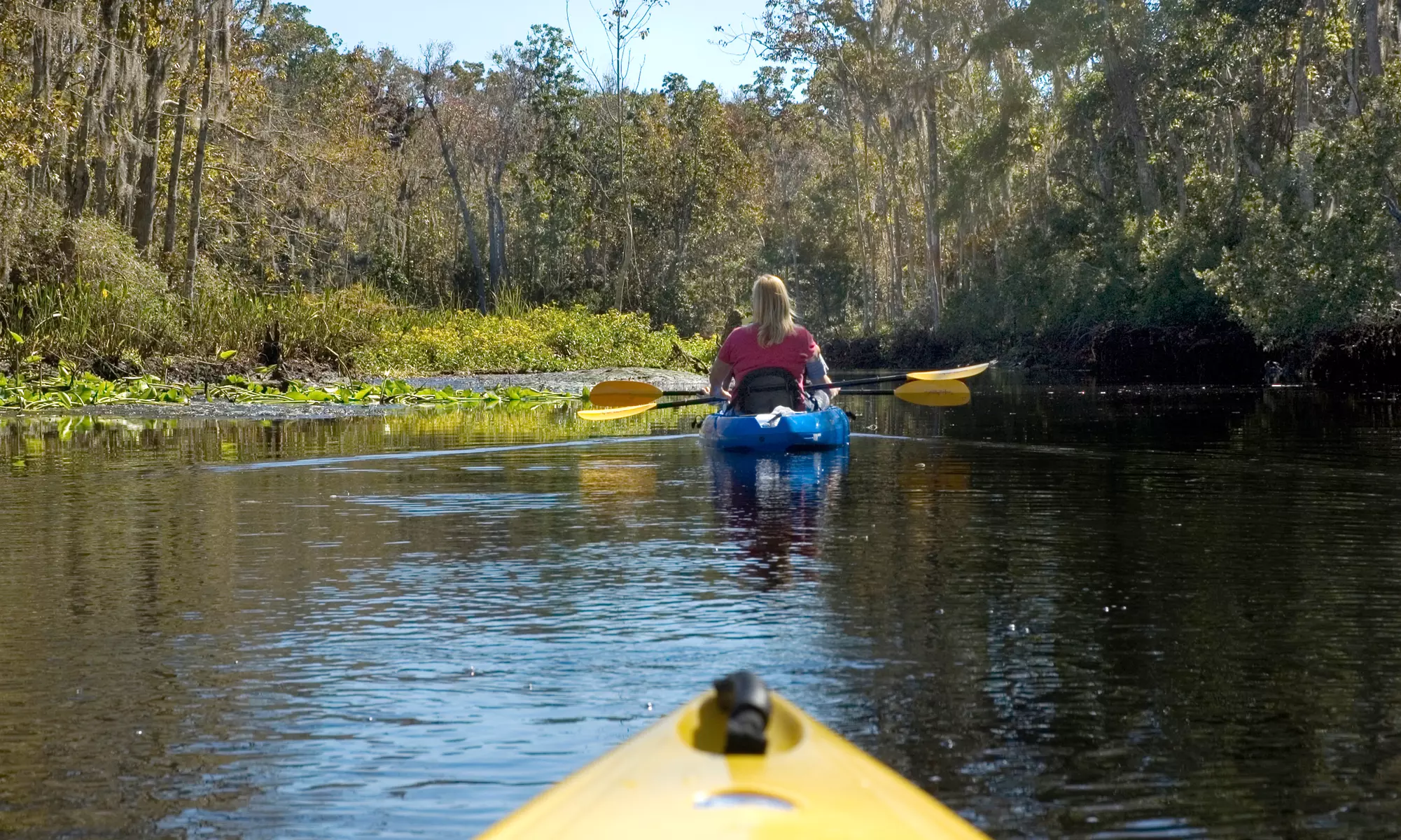 Upper Kinnickinnic Kayak Tour for One, Two, or Four with Drink Voucher from River Guide Kayaks (Up to 68% Off) - Second Medium