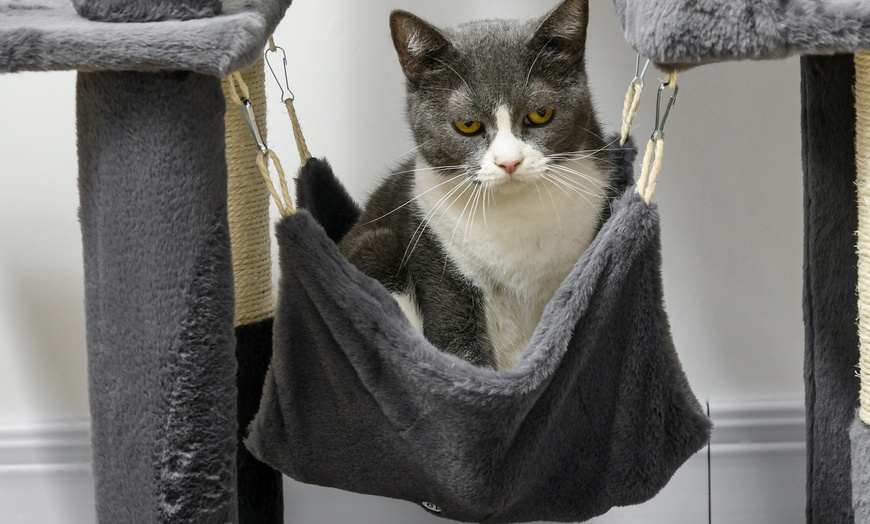 Image 5: PawHut 177cm Cat Tree, Multilevel with Scratching Posts and Houses