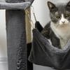 Image 5: PawHut 177cm Cat Tree, Multilevel with Scratching Posts and Houses