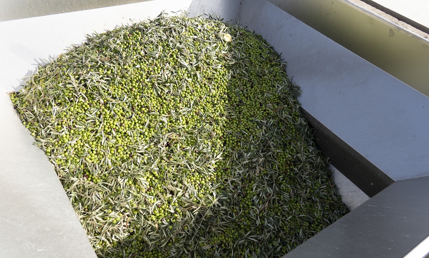 Image 3: Cata gourmet de aceite con visita guiada y regalo de bienvenida