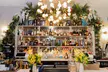 Delight in Fresh Oysters and Martinis for Two at Festival (Up to 58%Off) - Second Medium
