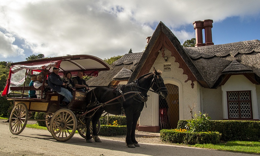 Image 1: Jaunting Car Tour for Four
