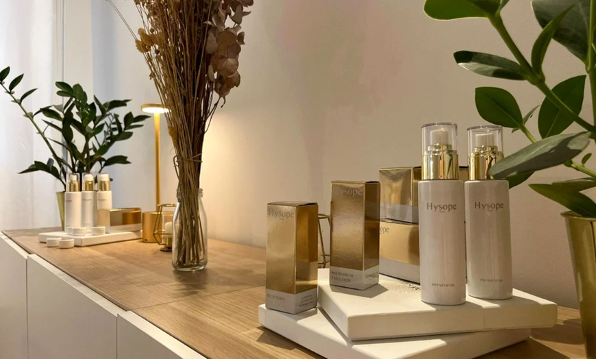 Image 4: Modelage détoxifiant corps et/ou visage à Paris avec Lisa Chloé 