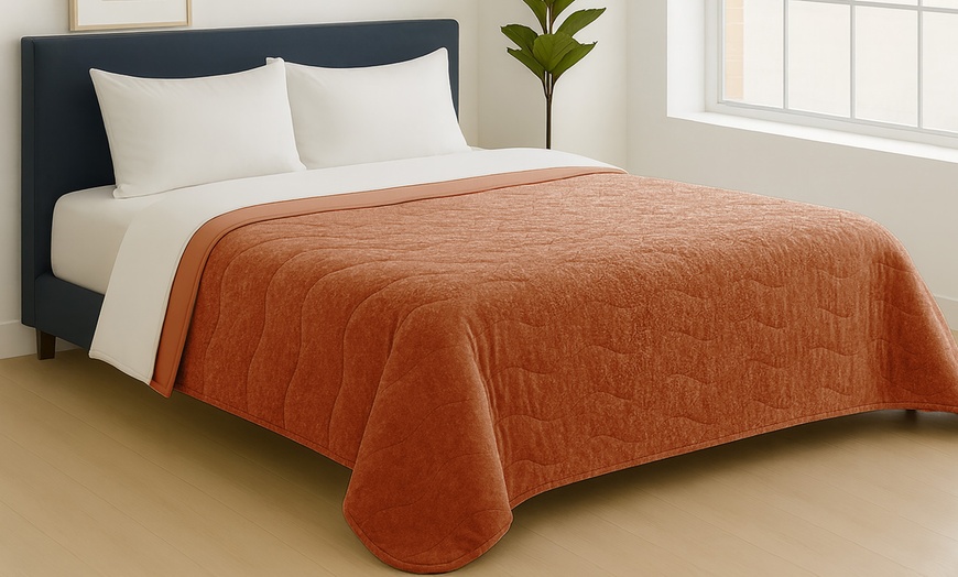 Image 24: Couette "Irina" en microfibre velouté 