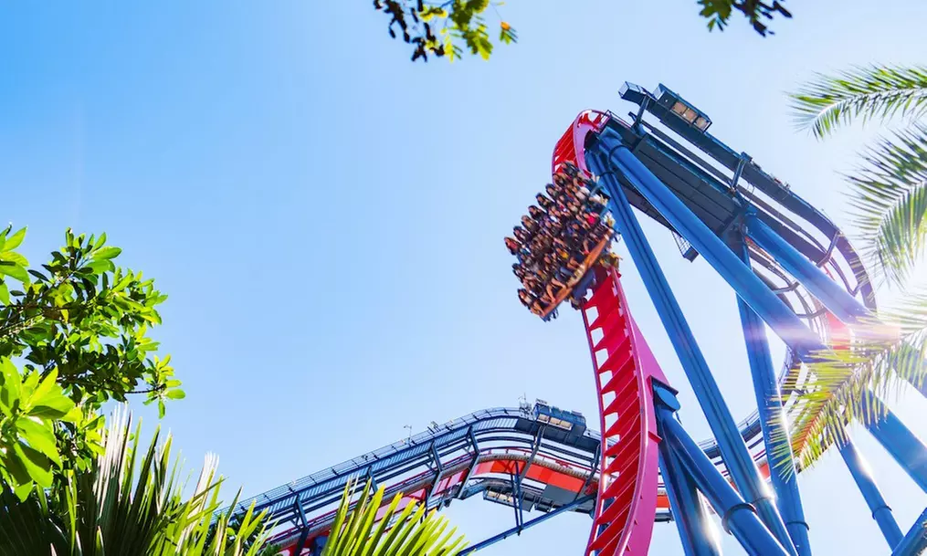 Save 62% on Busch Gardens Tampa Tickets, Fun Cards & Meals!