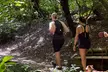 SF's WildSide, Redwood & Mountain Hike w/Meteorologist Tour / Golden Gate Park's Hidden Gem Tour (Up to 65% Off) - Second Medium