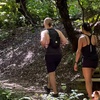 Image 4: SF's WildSide, Redwood & Hike or Golden Gate Park's Hidden Gems Tour