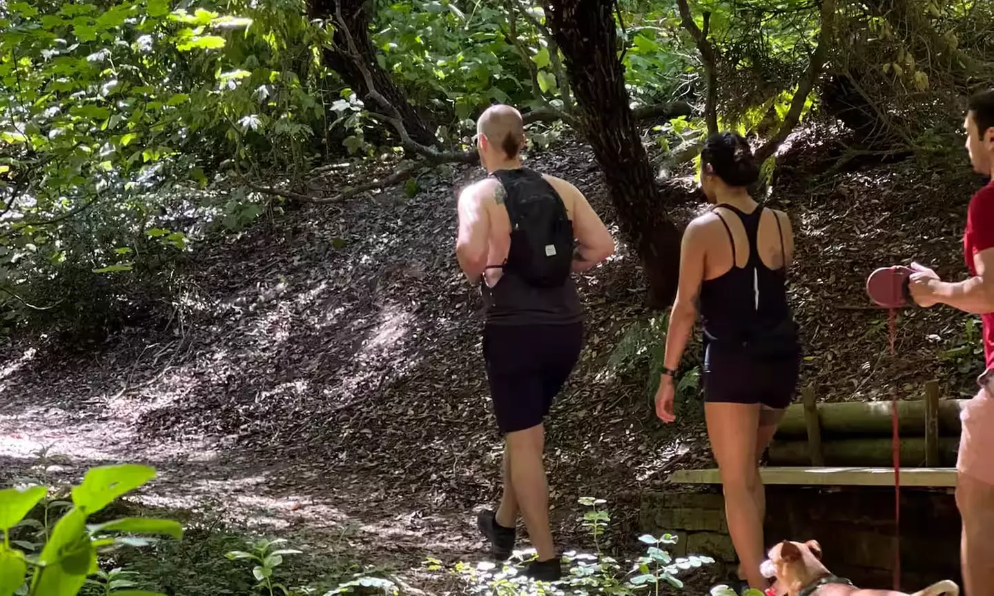 SF's WildSide, Redwood & Hike or Golden Gate Park's Hidden Gems Tour
