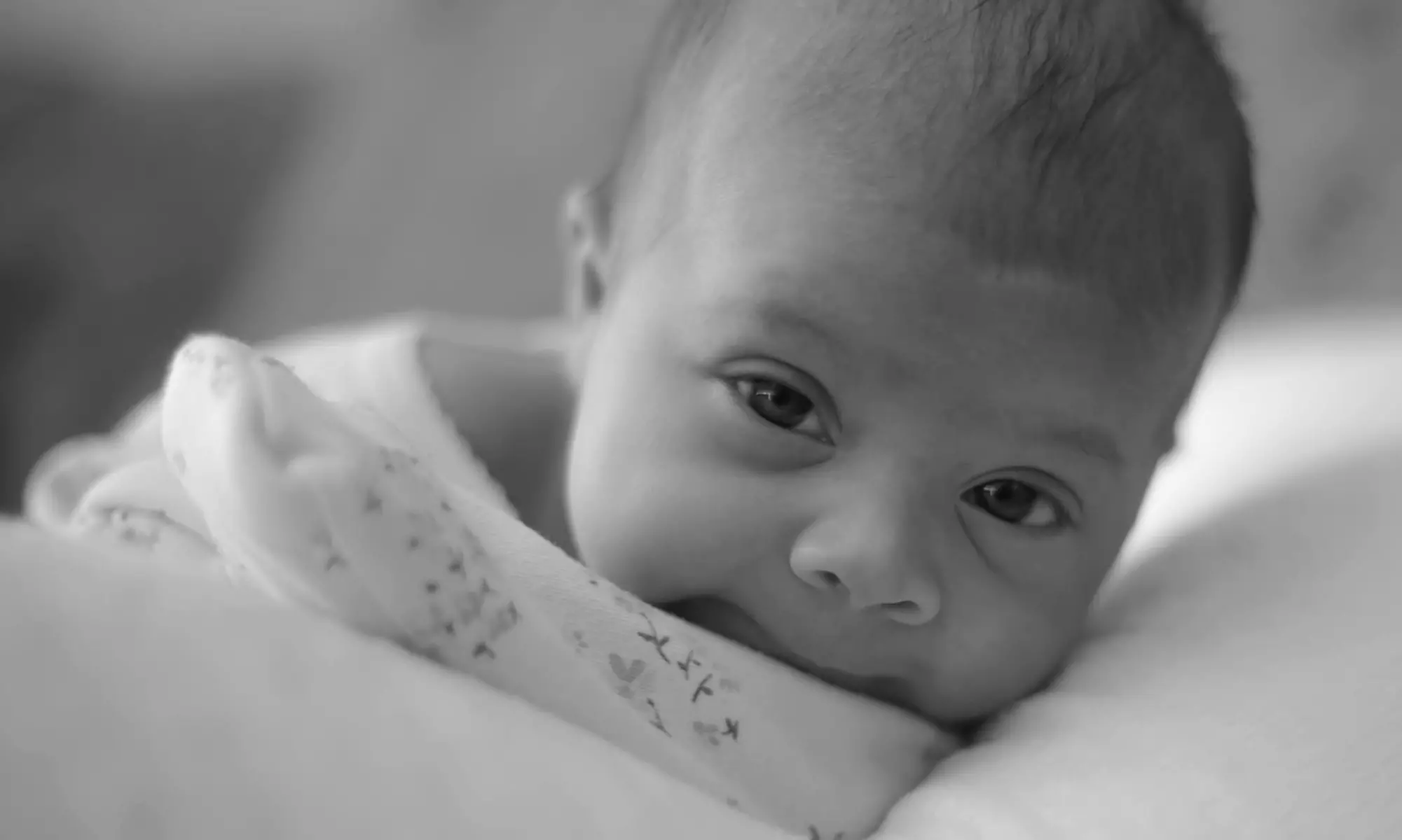 Up to 80% Off Family Photography at Maiti Media - Primary Image