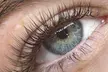 Enhance Your Look with a Full Set of Classic or Volume Lashes or Brow Lamination with Wax (Up to 37% Off) - Second Medium