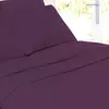 Eggplant Purple