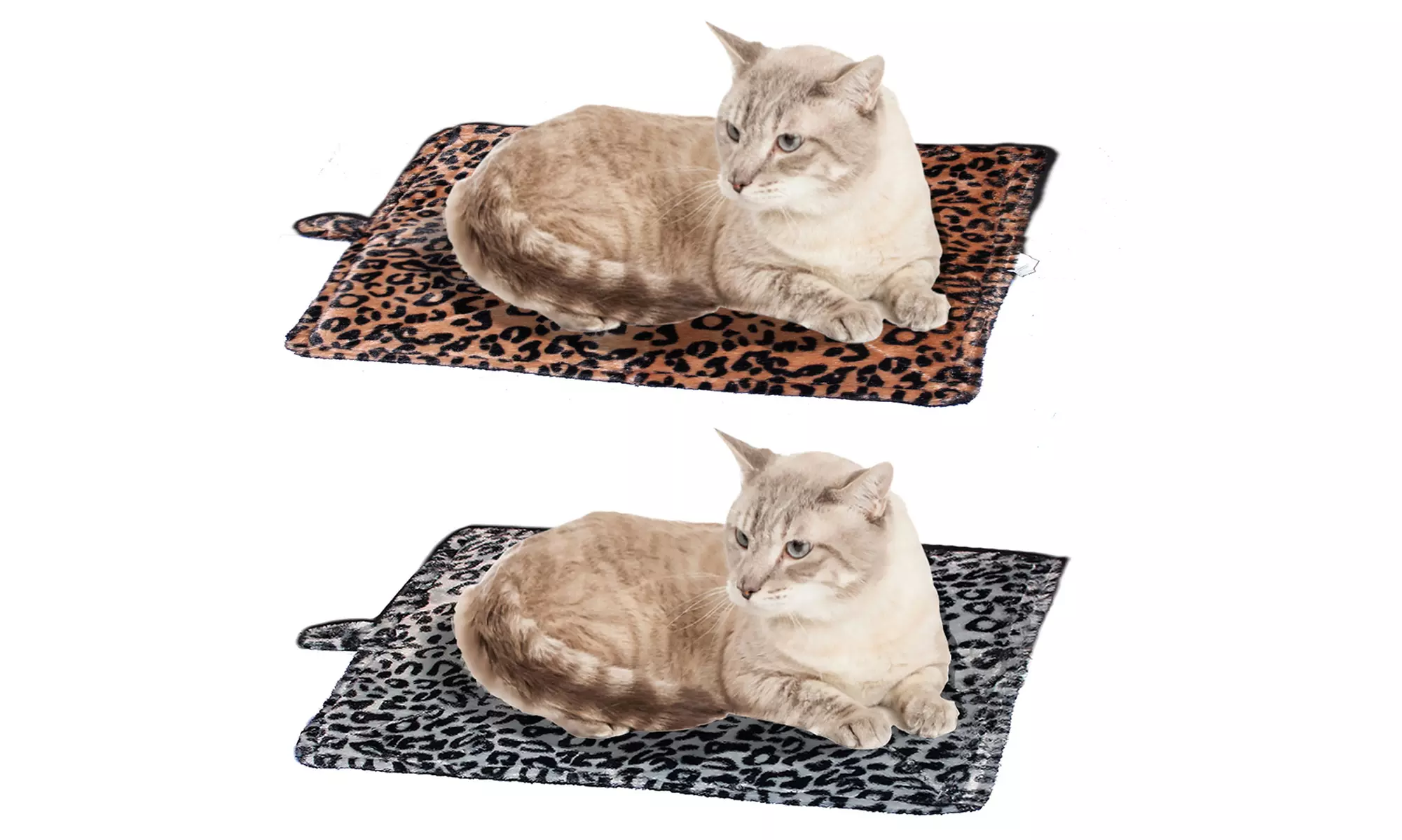 Purrfect Thermal Self-Heating Pet Bed