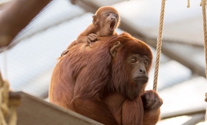 Dagticket voor de Kölner Zoo