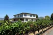Private 5-Hour Sonoma Wine Tour: Visit 2 Curated Wineries, Scenic Drives & More for Up to 14 (Up to 50% Off) - Second Medium