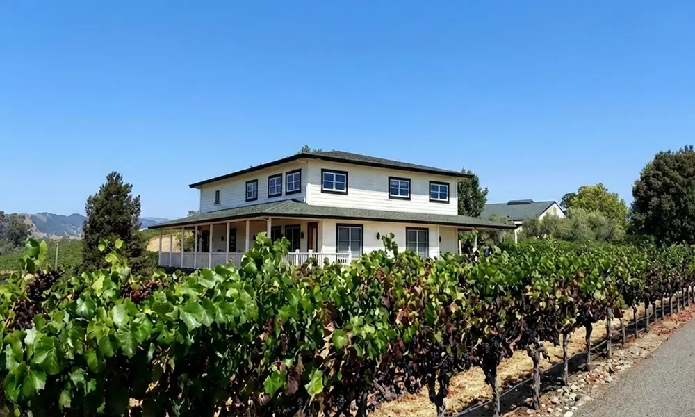 Private Wine Tour: 2 Curated Wineries & Luxury Sprinter from SF