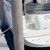 Image 8: Two, Three or Four Hour Private Boat Tours