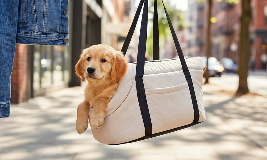 Image 3: Borsa a tracolla trasportino per cani
