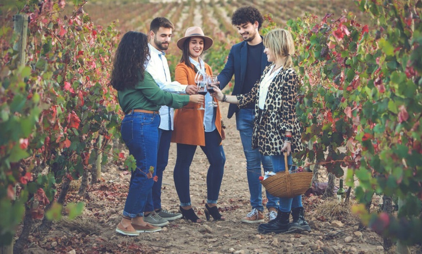 Image 9: Visita guiada a bodega con cata de 3 vinos y tapas para 2 o 4 personas