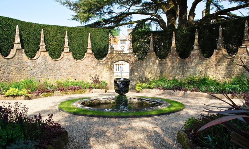 Image 3: Athelhampton House and Gardens