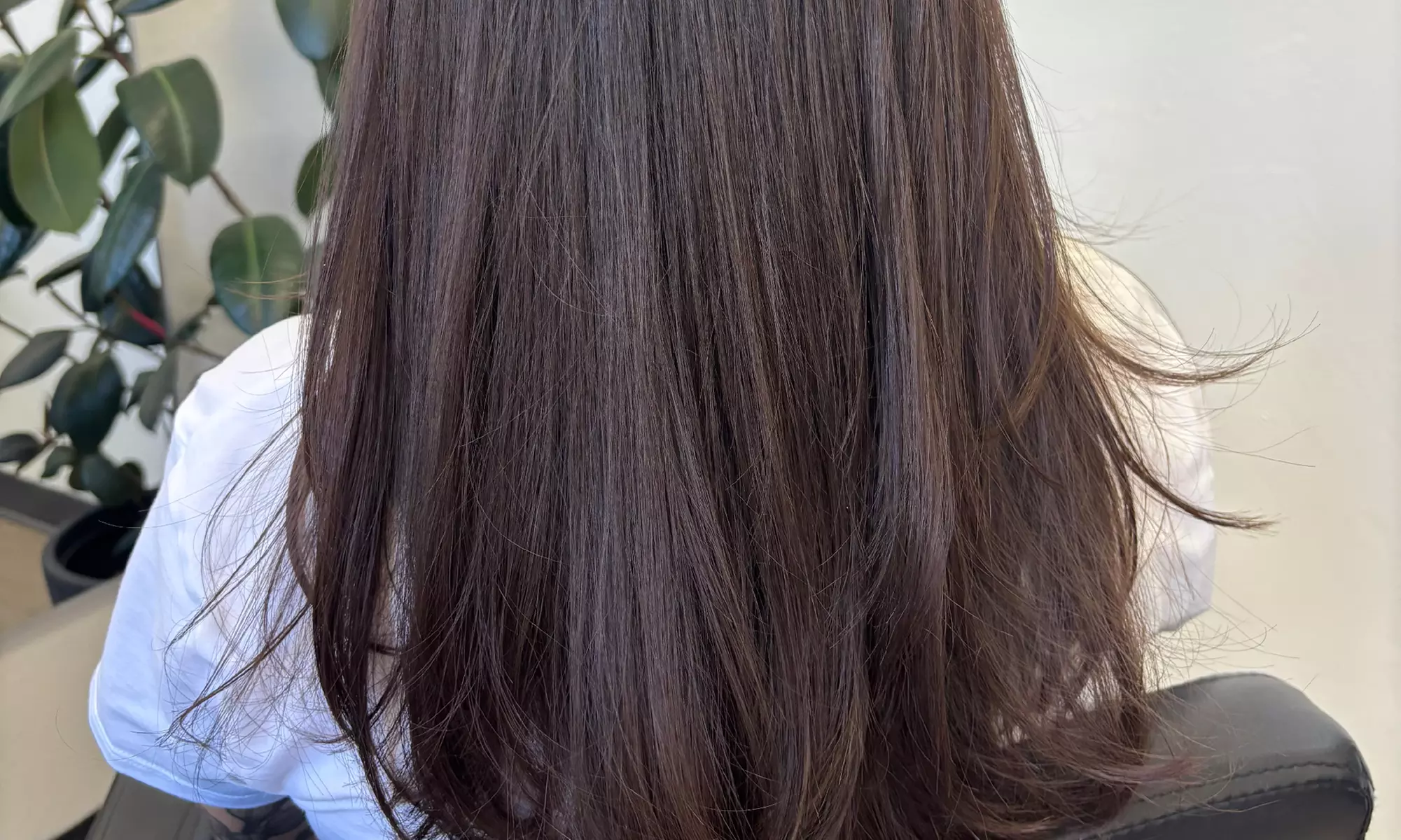 Haircut, Conditioning & Blowdry + Single Color or Half/Full Highlights