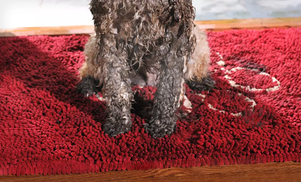 Dog Gone Smart Dirty Dog Doormats (Up to 33% Off). Multiple Styles Available. Free Shipping and Returns. - Primary Image