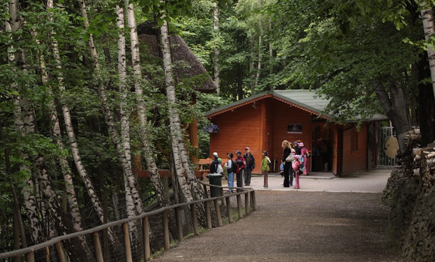 Image 6: Leśny Park Niespodzianek